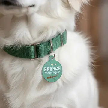 Thumbnail: Branch Manager Pet ID ~ Bad Tags