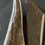 Thumbnail: Moose Antler Medium