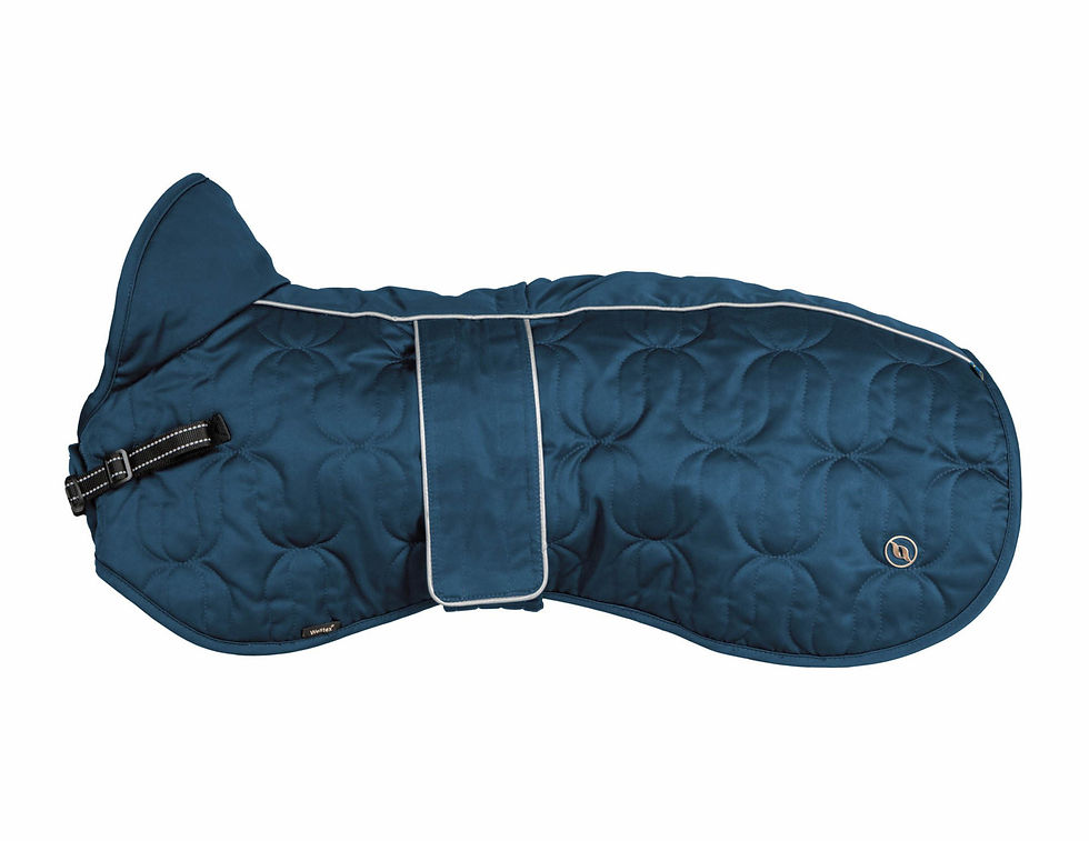Thumbnail: Deep Nights Dog Coat Collection