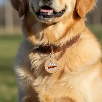 Thumbnail: Big Stick Energy Pet ID ~ Bad Tags