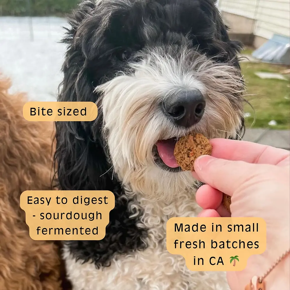 Thumbnail: Apple + Carrot Sourdough Treats ~ Sour Dog
