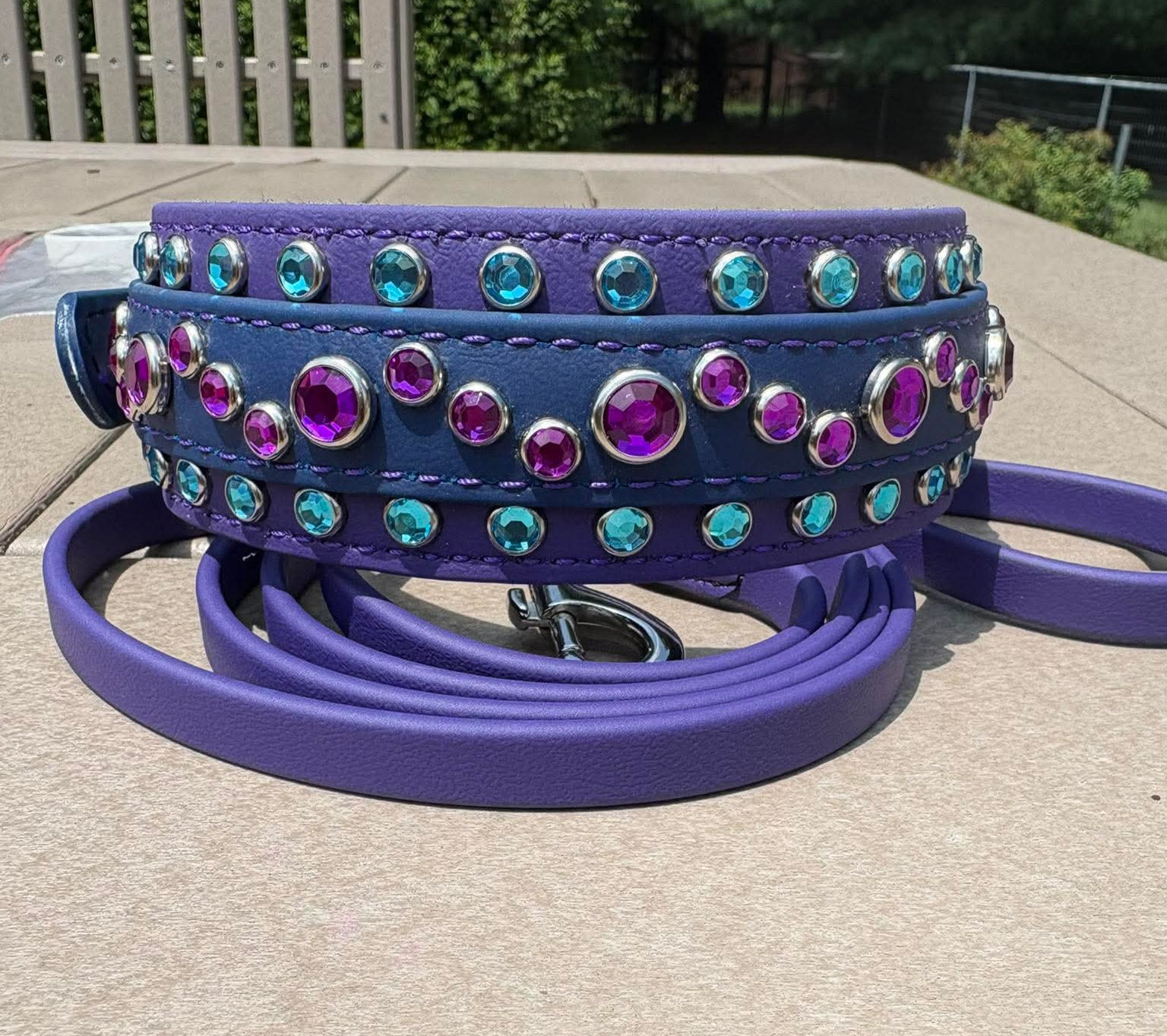 19" - 22" Blue/Purple Biothane Collar/Leash Set
