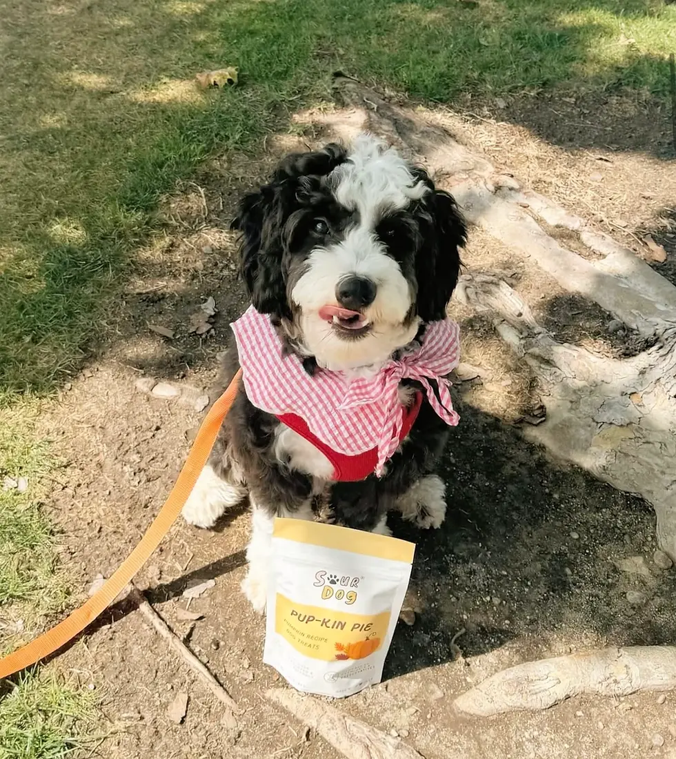 Thumbnail: Pup-kin Gut Friendly Treats ~ Sour Dog