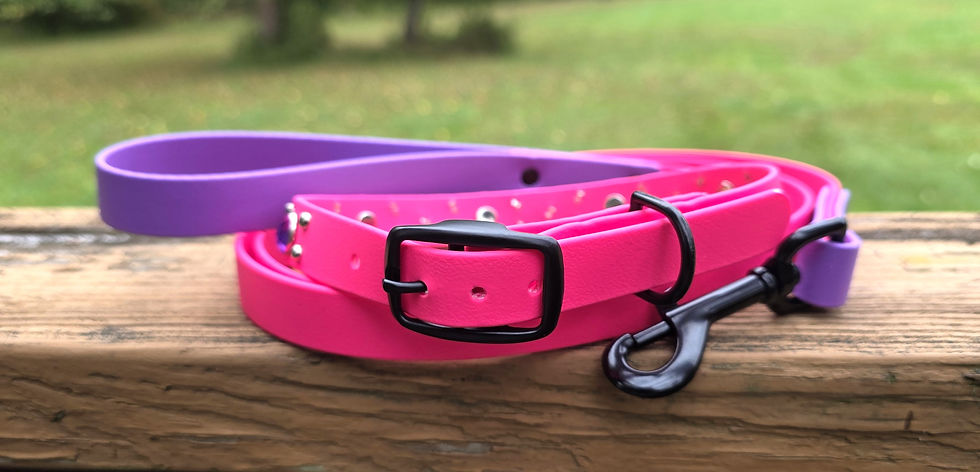 Thumbnail: 14" - 16" Pink Purple Biothane Collar/Leash Set
