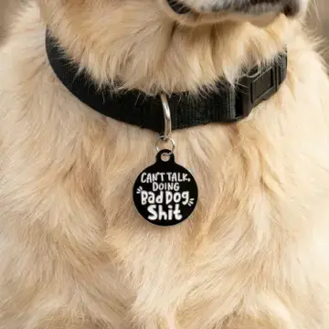 Thumbnail: Can't Talk, Doing Bad Dog Shit Pet ID ~ Bad Tags