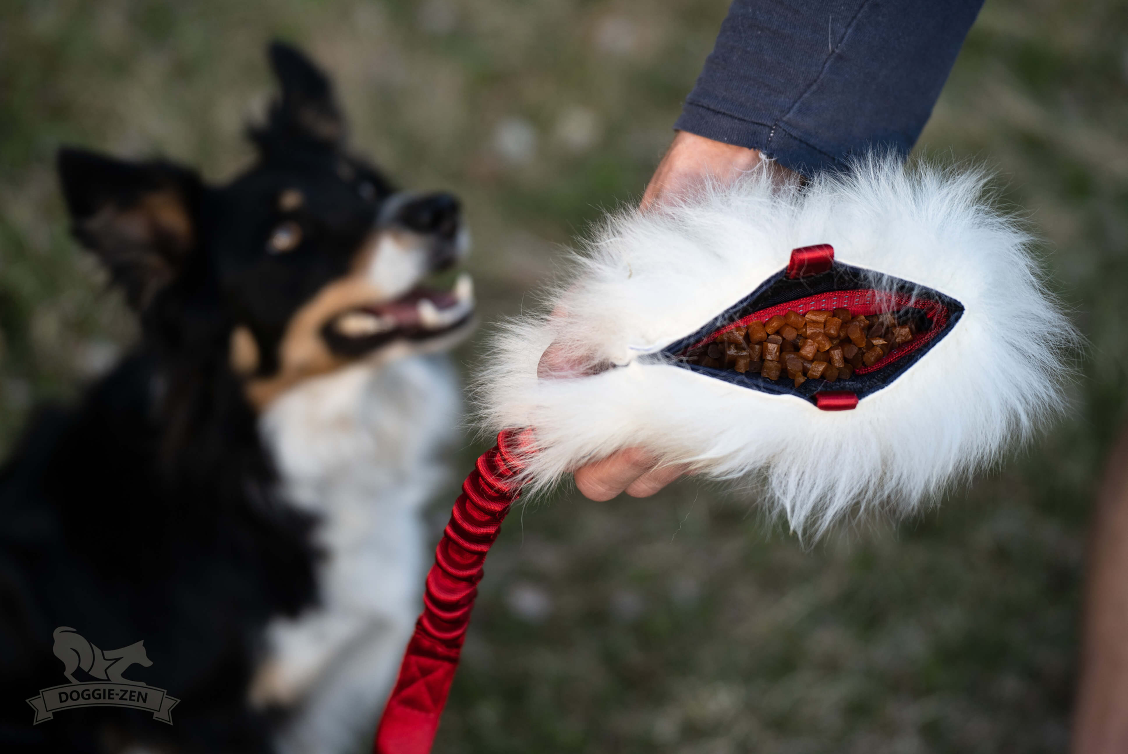 Treat Sheep Chaser L