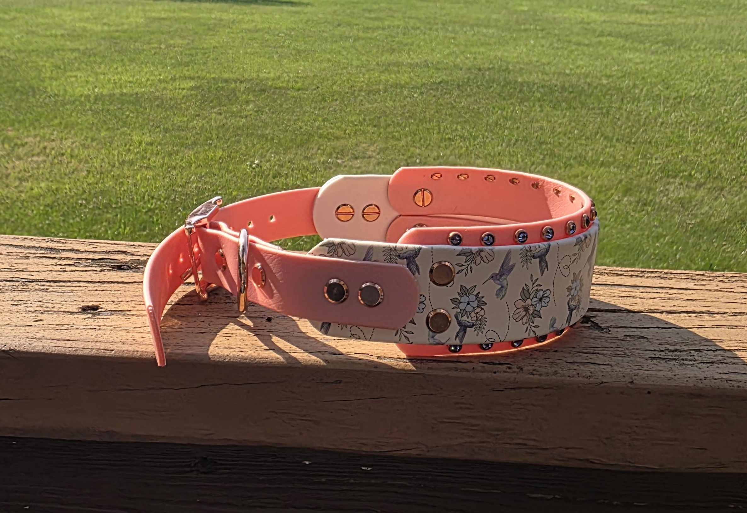 15" - 18" Bling Hummingbird Biothane Collar
