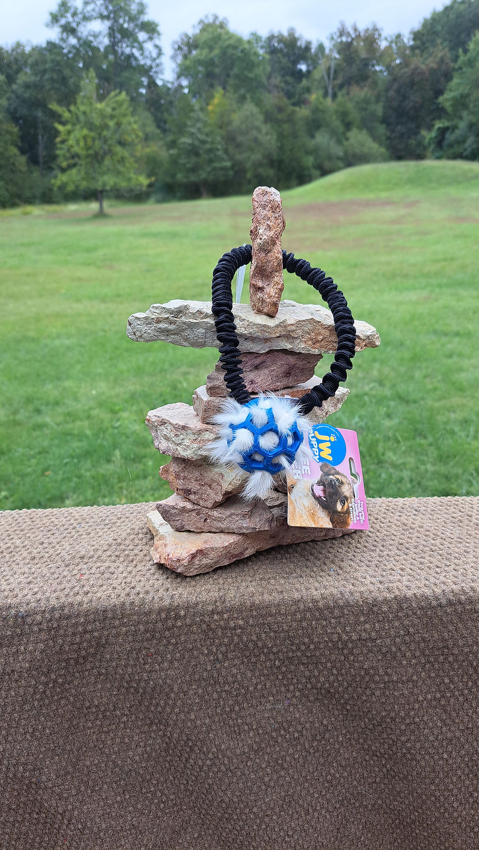 Thumbnail: Mini Round Rabbit Bungee