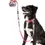 Thumbnail: Poop Bag Pouch ~ DOOG Walkie Pouch