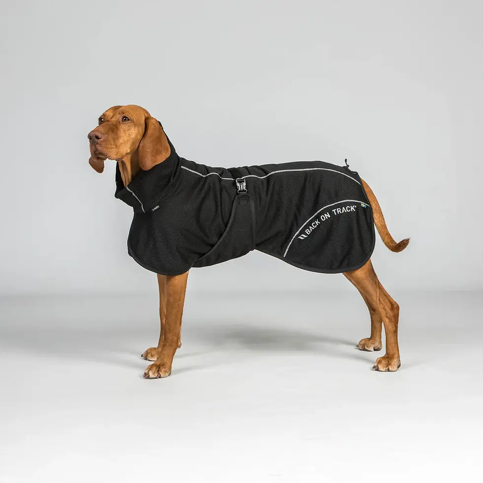 Thumbnail: Bay Mesh Dog Coat