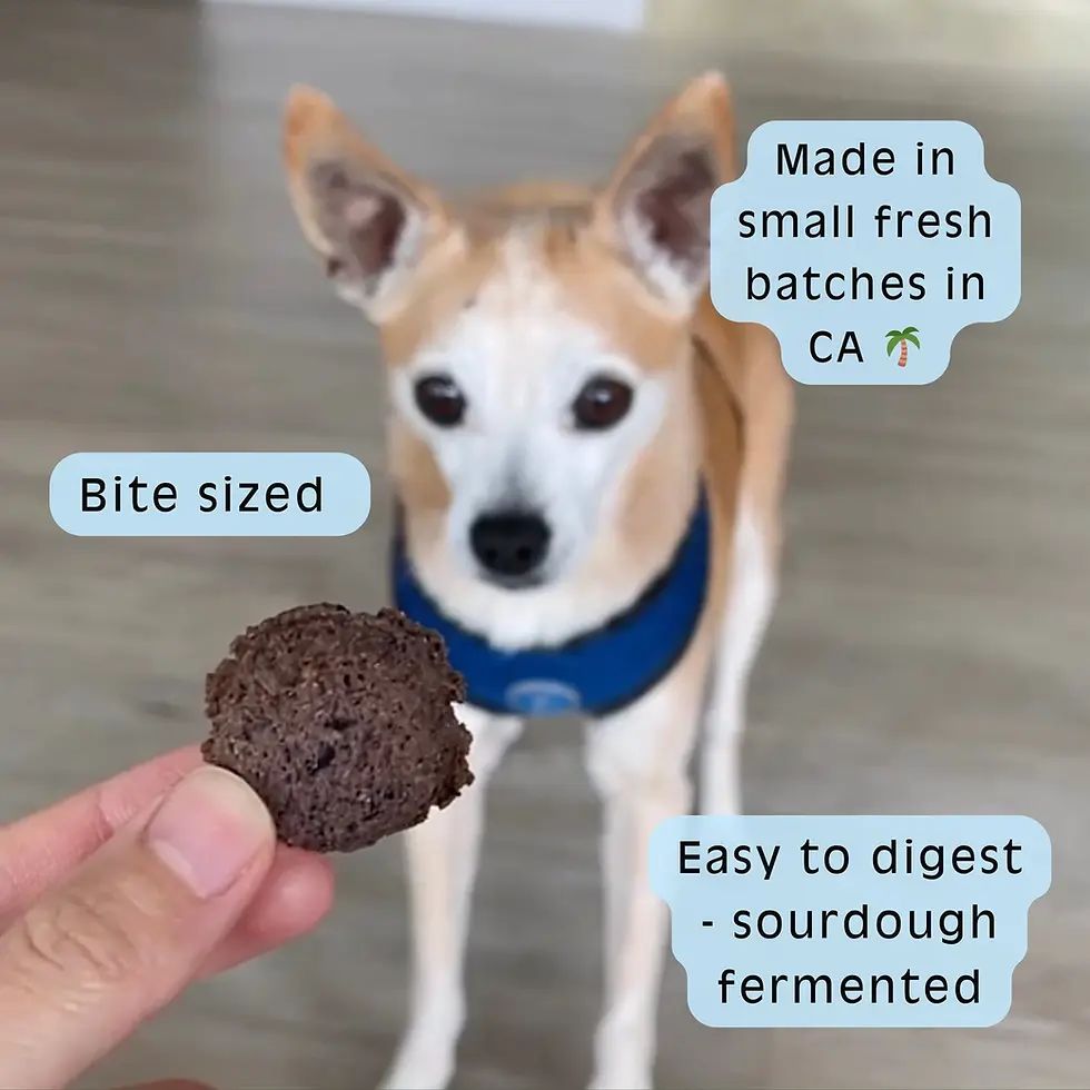 Thumbnail: Berry Blessed Gut Friendly Treats ~ Sour Dog