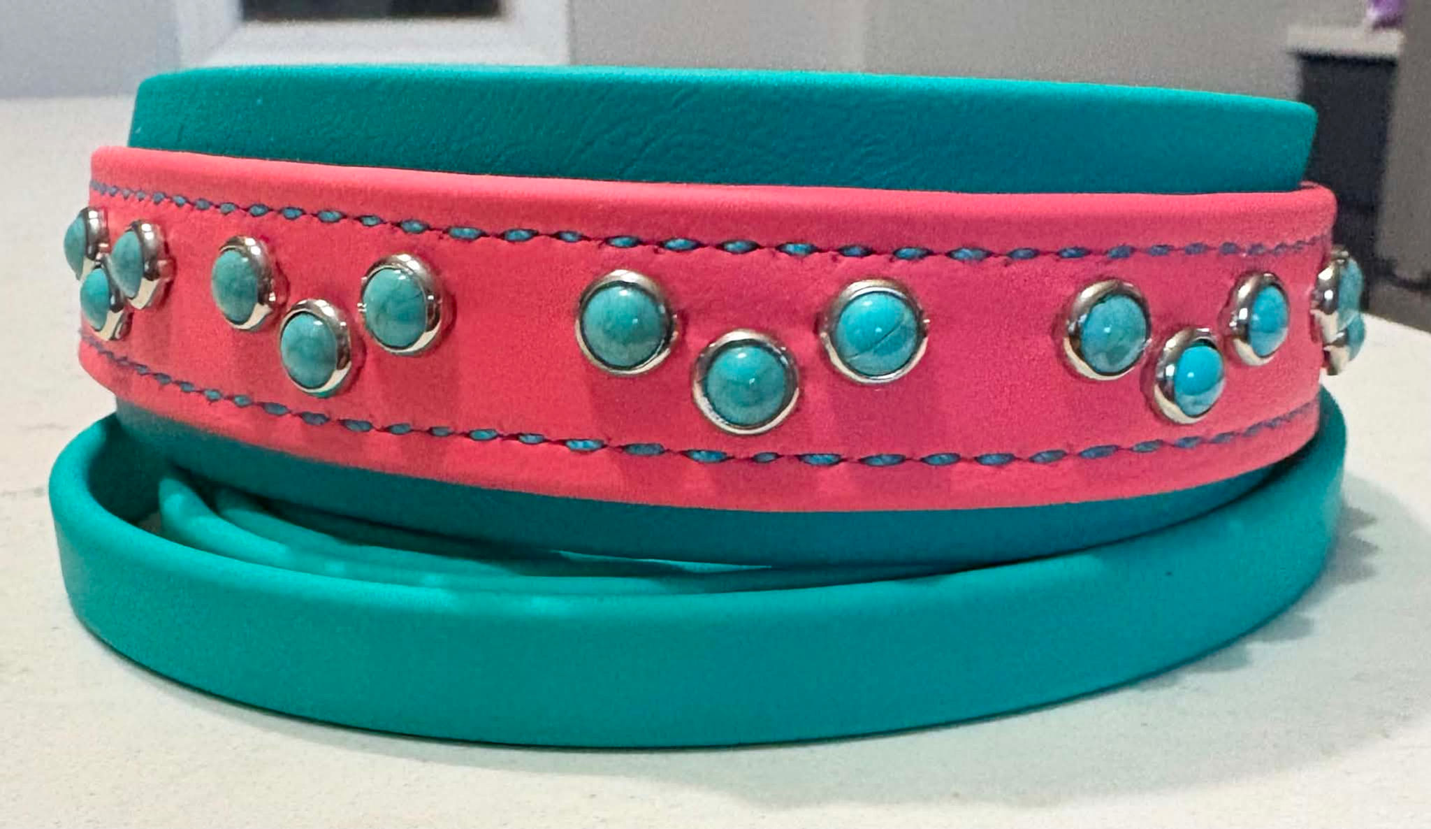 14" - 18" Pink/Teal Biothane Collar/Leash Set