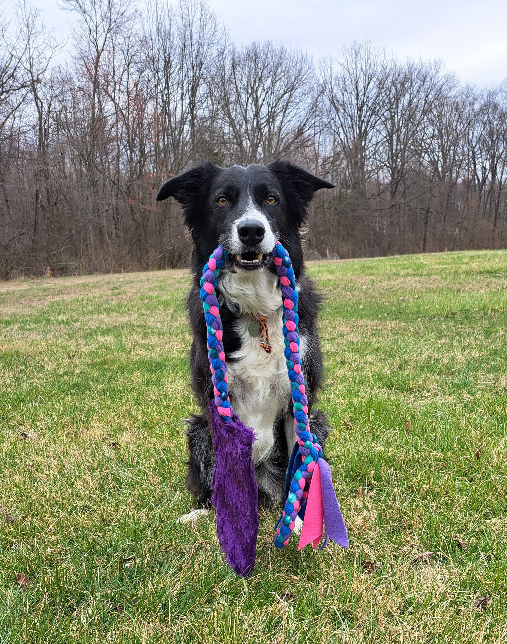 Crunchasaurus Bottle Tug
