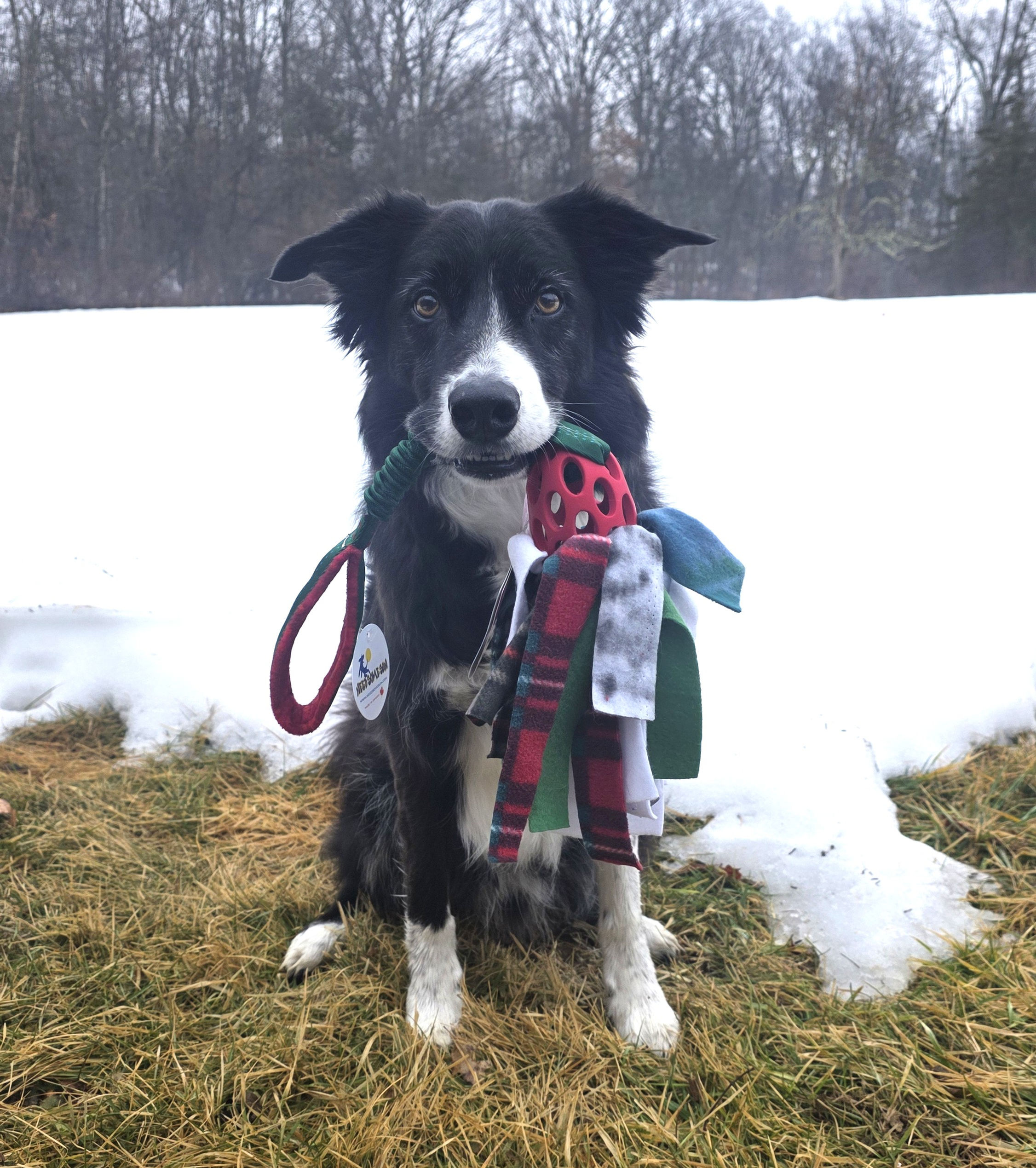 Clean Sweep Holee Football Tug