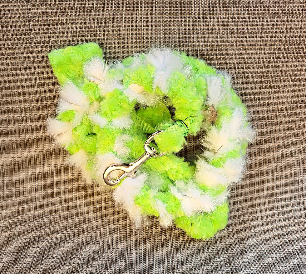 Rabbit Leash ~ Lime Green