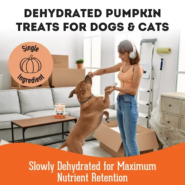 Thumbnail: Dehydrated Pumpkin ~ Granville