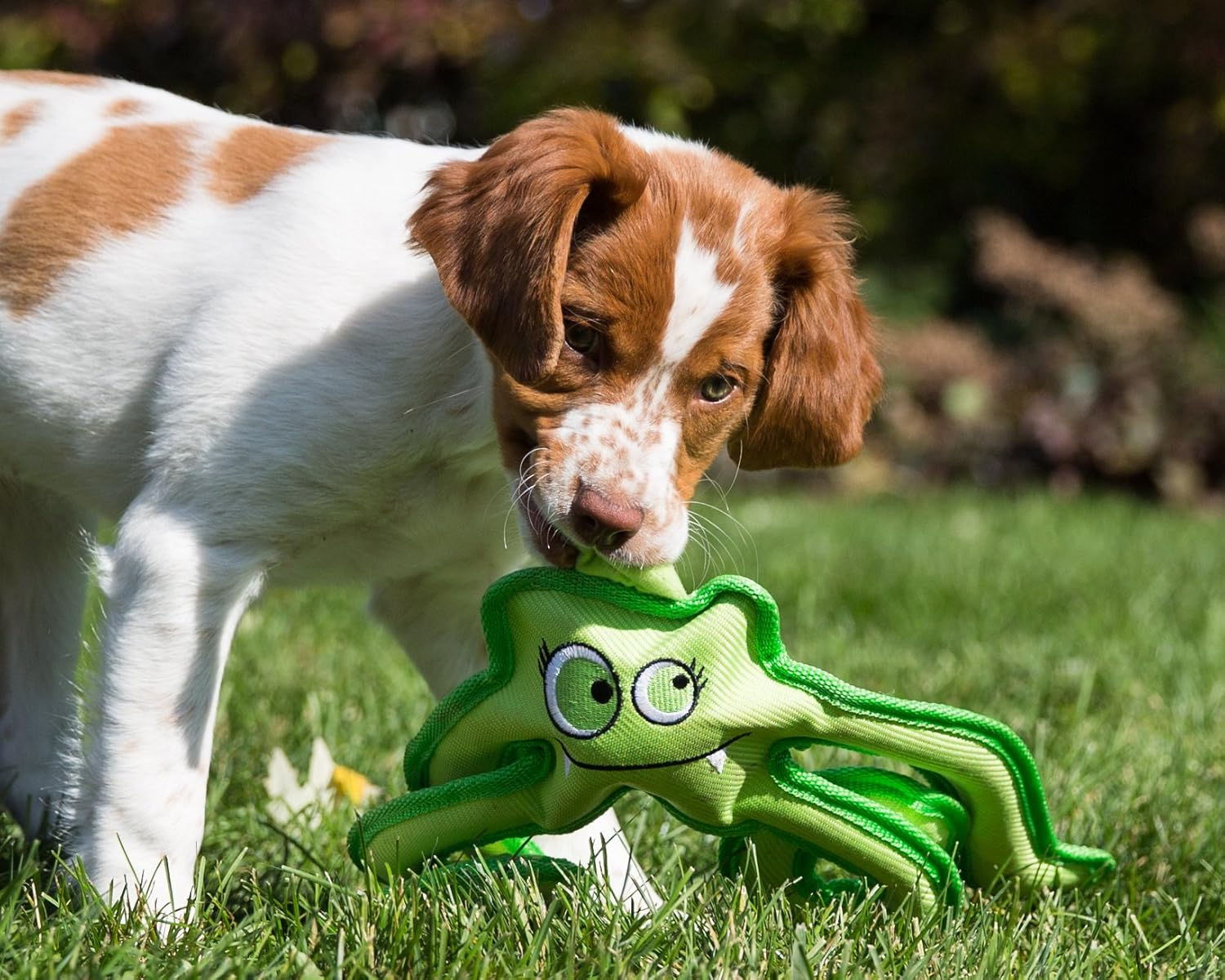 Alien Specter Toy ~ Loopies