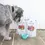 Thumbnail: Woof Lamb Freeze-Dried Food/Treats