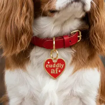 Thumbnail: Cuddly AF Pet ID ~ Bad Tags