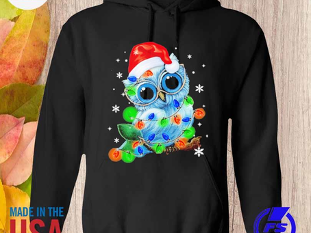 Santa Owl light merry christmas sweater