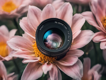 Capturing Beauty: Robin's Perfect Clicks Photography Services
