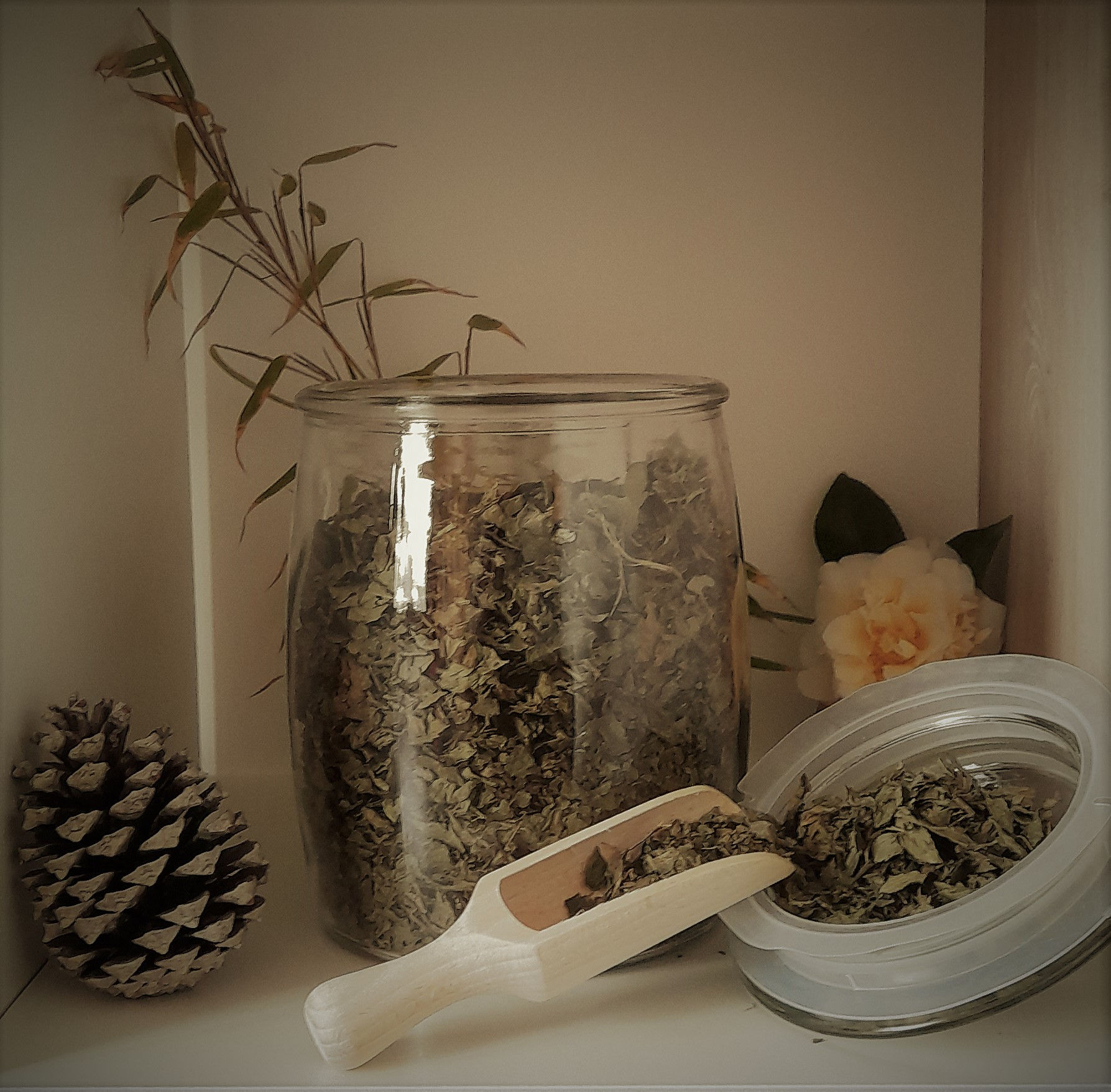 un bocal de menthe poivrée séchés, une cuillère en bois, une pomme de pin une fleur