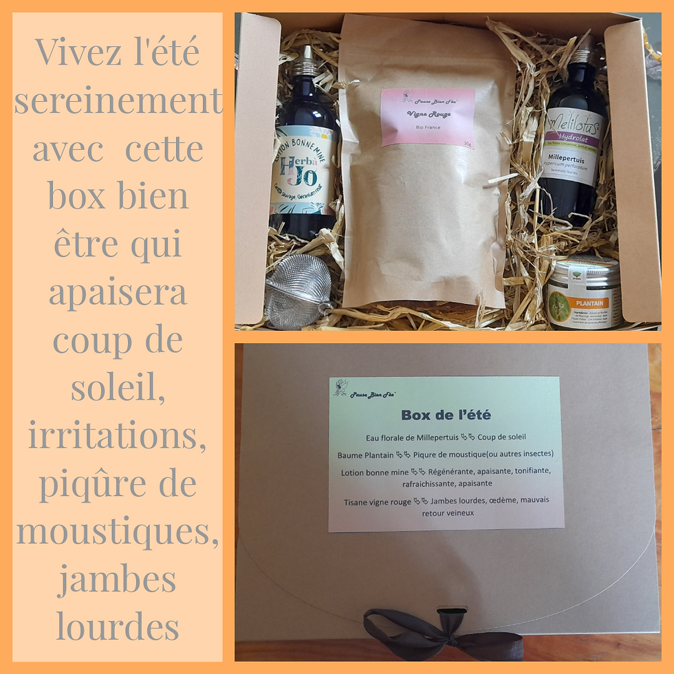 Miniature : Box de l'été 