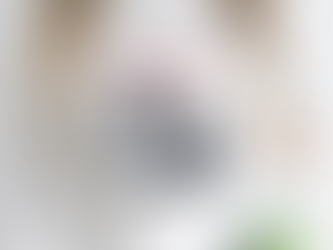 Tokyo Tiger Baseball Is My Favorite Sport Shirt