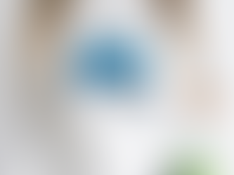 2024 NCAA Division III Women’s Lacrosse Championship Four Team Player shirt