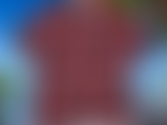 2024 St Louis Cardinals All Over Print Shirt Giveaway