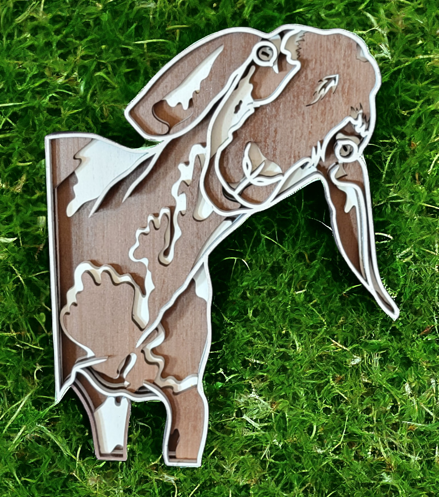 Goat Brown and White