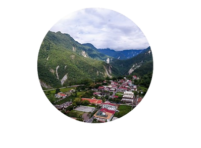 image-removebg-preview (9).png