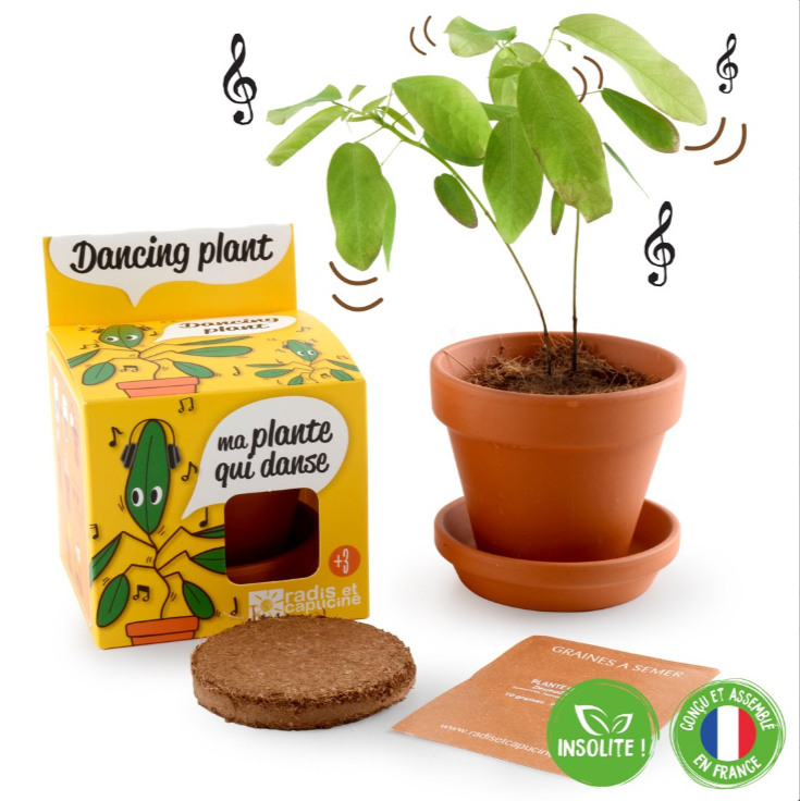 Miniature : La plante qui danse