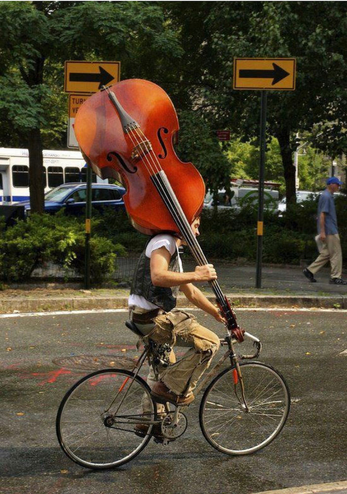 THE STRANGE APPEAL OF THE DOUBLE BASS