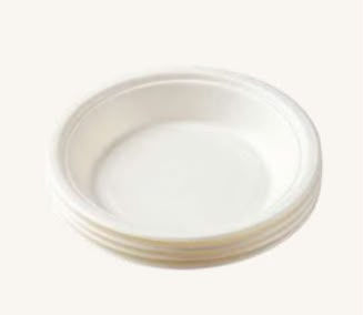 white bagasse plate.jpeg