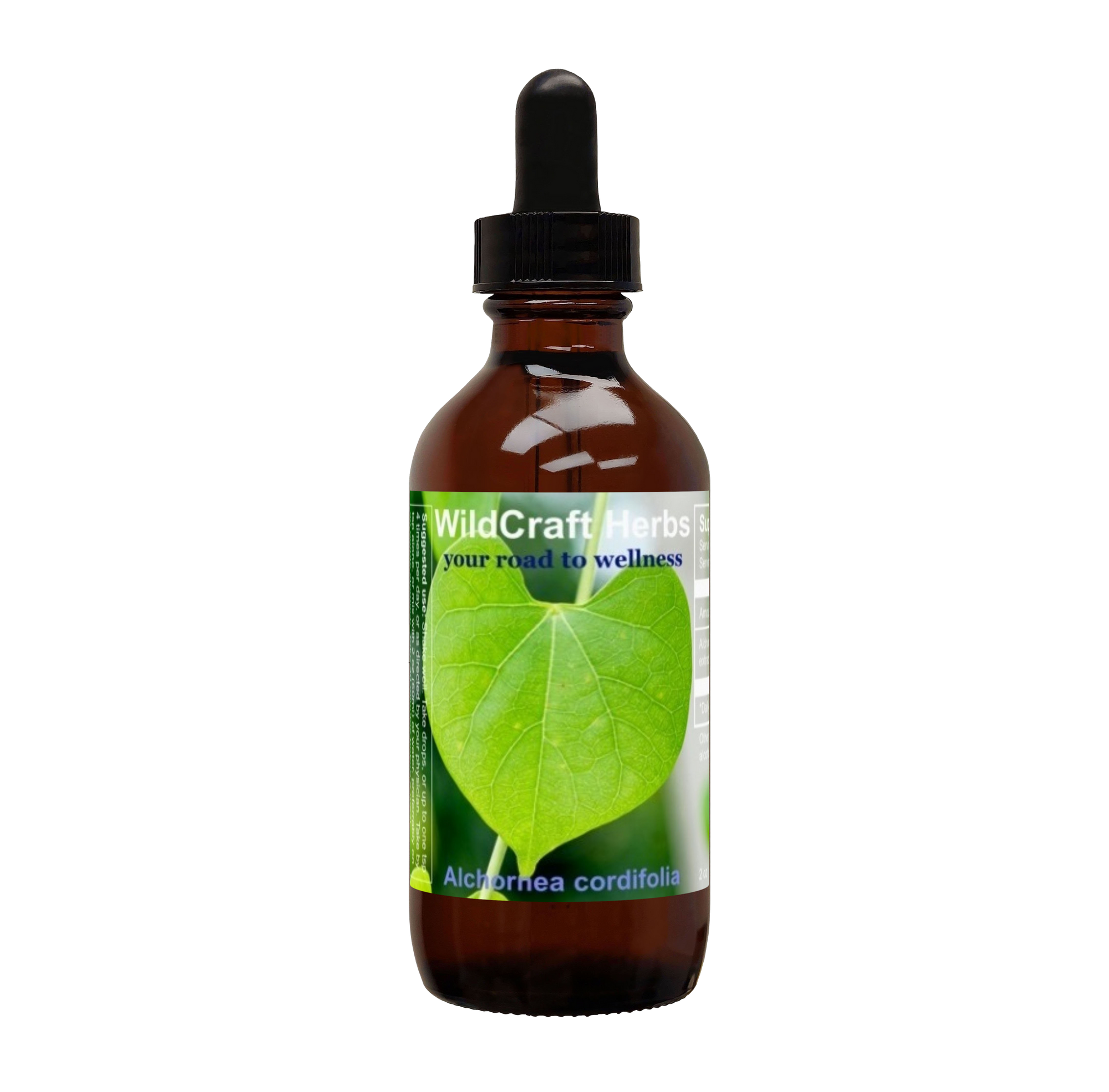 Bottle of 2 oz alchornea cordifolia herb tincture extract.