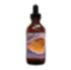 Cryptolepis sanginolenta herb tincture extract 2 oz bottle.