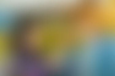 Um amor nascido de um casamento por contrato!