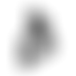 Bakkt Holdings, Inc., A Digital Asset Platform, Raises $50 Million Through Securities Offering