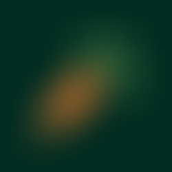 Carrot, a SOL DeFi platform, raises $600K in a Pre-Seed round led by BOOGLE, DKS Ventures