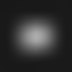 Blackwing, a New Modular Blockchain, Raises $4.5 Million to Build Liquidation-Free Trading