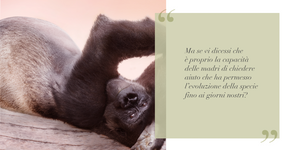Mamme, nonne, tate ed evoluzione della specie.