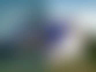 Không Chỉ Là Công Suất (Watt): Tối Ưu Chi Phí Lắp Đặt Trên Mỗi Wp