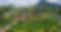 Nong Nooch Tropical Botanical Garden.jpeg