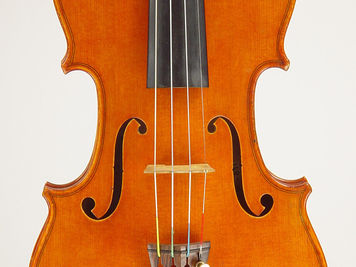 Em foco: Luiz Bellini