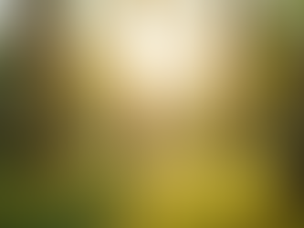 O impacto profundo do transtorno de estresse pós-traumático e caminhos para a reintegração pessoal