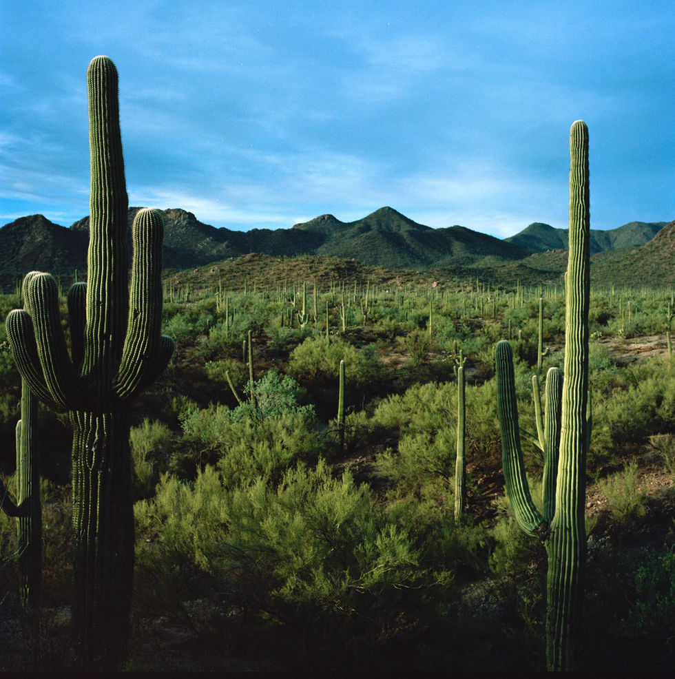 az6