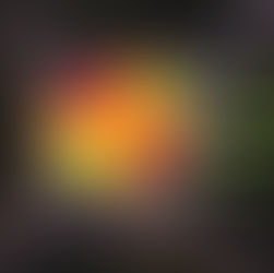 Where to Learn Muay Thai in Shah Alam: 12 Gyms Options for 2025