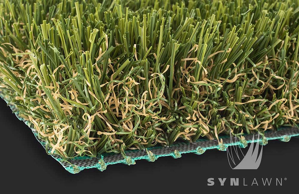 SYNLawn-SYNFescue-343-SF343-01