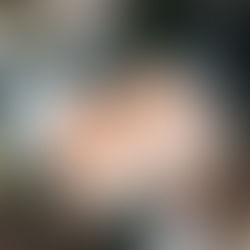 Legal Win from UK Court!